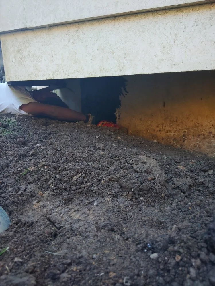 Reliable garden landscaping for homes across Norristown, PA - David Contreras Landscaping