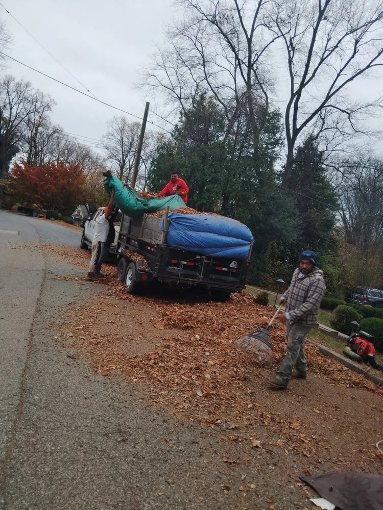 Professional landscape installation in Norristown, PA - David Contreras Landscaping