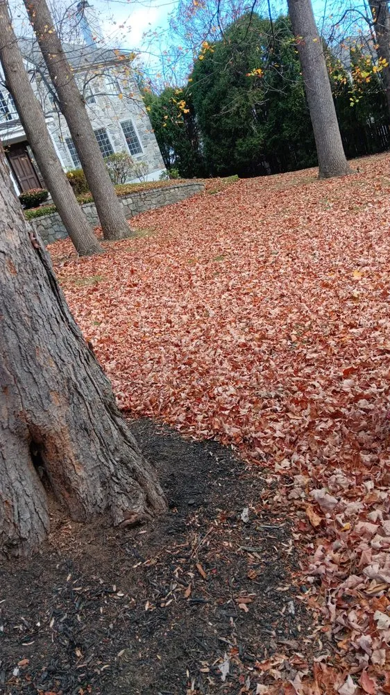 Custom lawn care service for year-round maintenance across Norristown, PA - David Contreras Landscaping