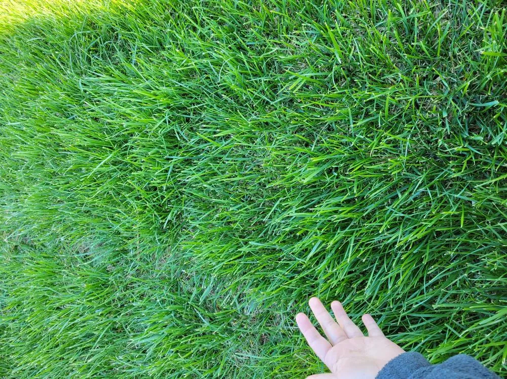 Top-rated landscape design in Waynesboro, VA by David Diaz Lawn Services