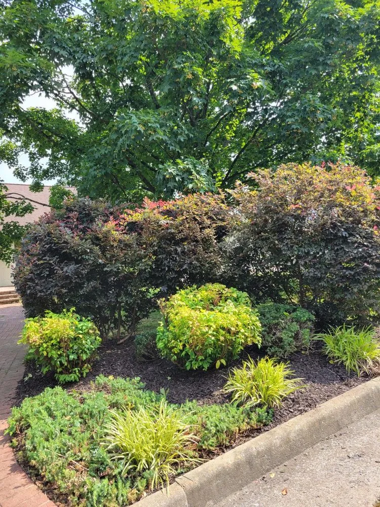 Custom lawn care service in Waynesboro, VA by David Diaz Lawn Services