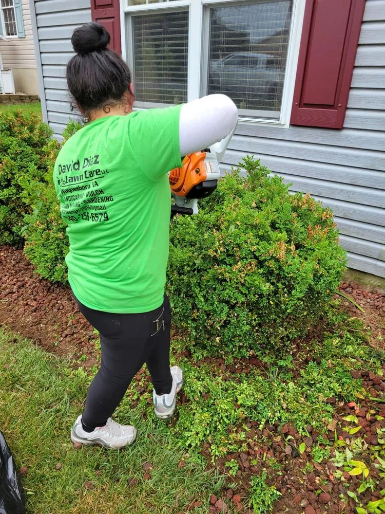 Top-rated yard cleanup service for residential properties across Waynesboro, VA - David Diaz Lawn Services