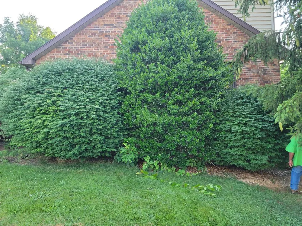 Expert landscape design for residential properties in Waynesboro, VA by David Diaz Lawn Services