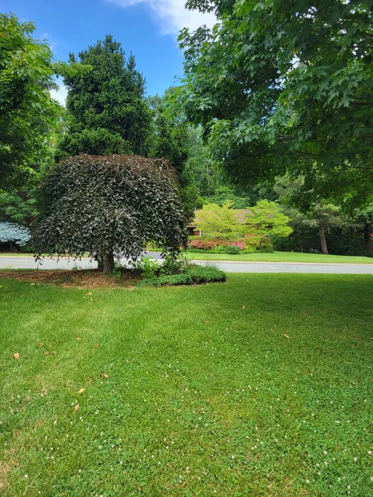 Top-rated garden landscaping in Waynesboro, VA - David Diaz Lawn Services