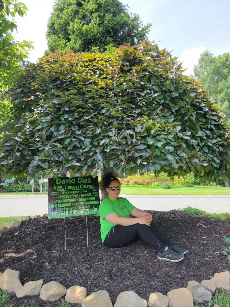 Custom landscape installation in Waynesboro, VA - David Diaz Lawn Services