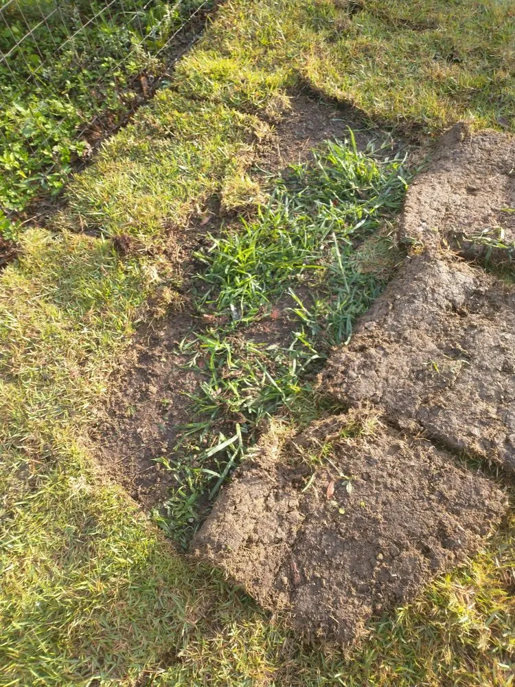 Local landscaping services experts serving Panama City, FL - David Farris Landscaping & Lawn Care