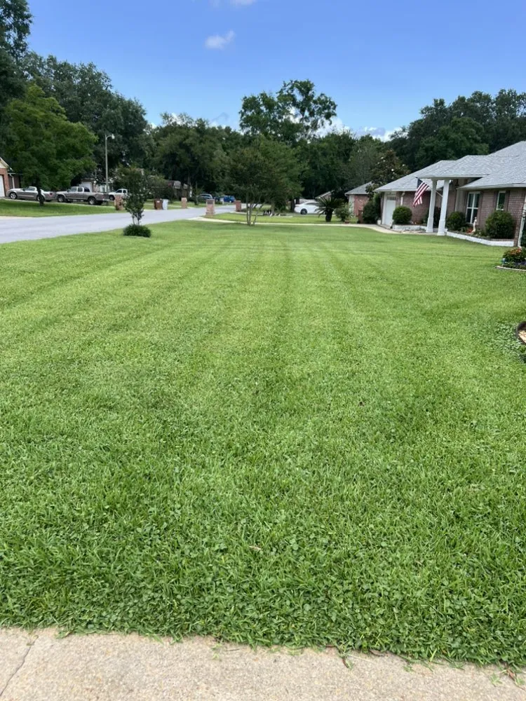 Reliable lawn mowing service experts serving Milton, FL - David Hauser Lawncare