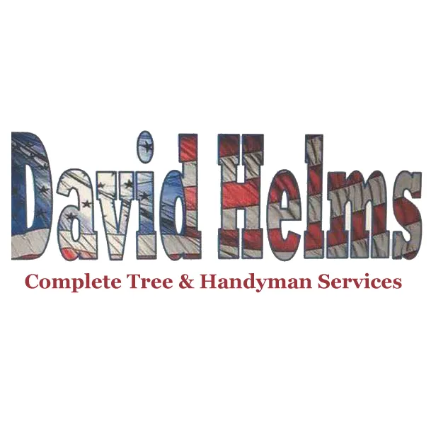 Trusted landscape design in Wichita Falls, TX by David Helms Services