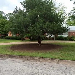 Top-rated landscape installation in Wichita Falls, TX by David Helms Services