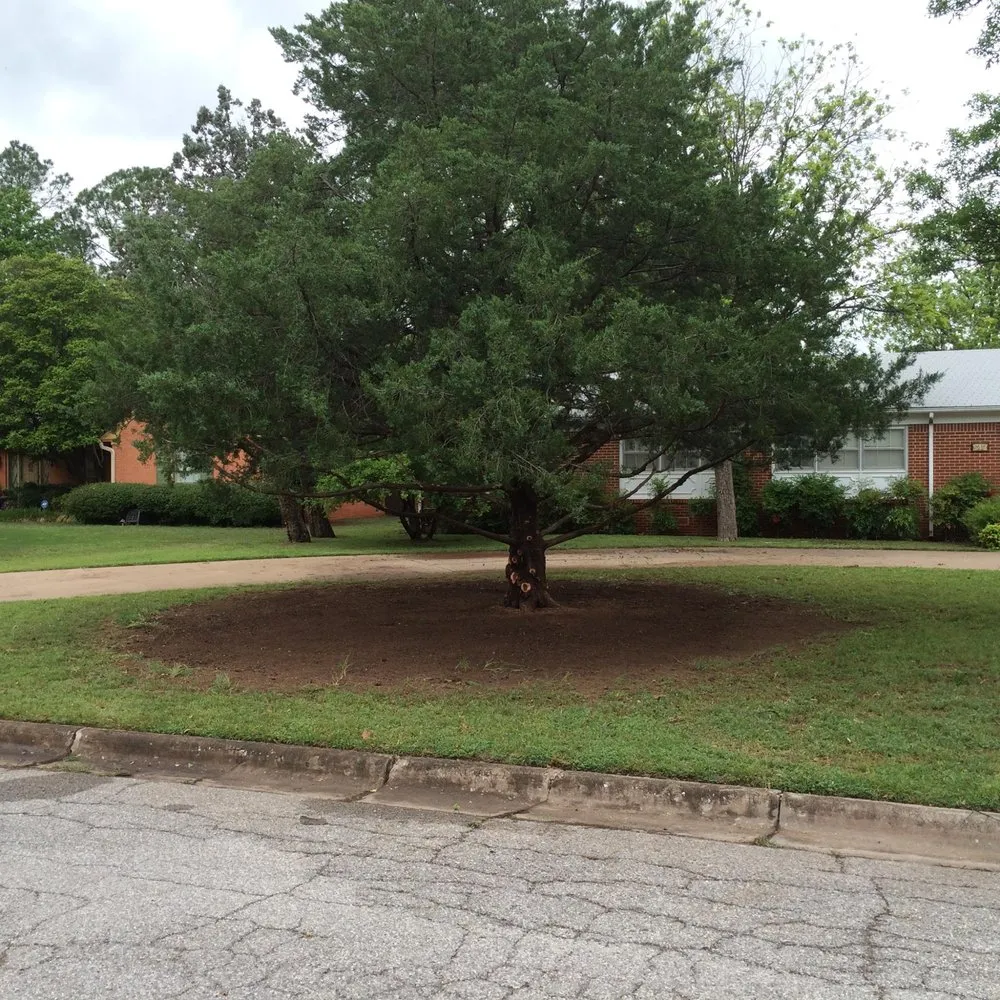 Local lawn care service in Wichita Falls, TX by David Helms Services