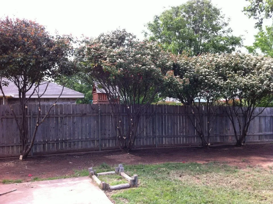 Custom outdoor landscaping in Wichita Falls, TX - David Helms Services