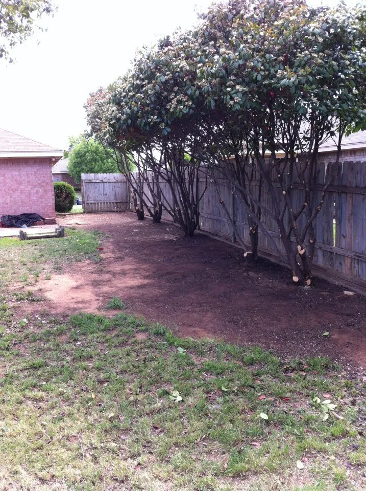 Reliable lawn mowing service in Wichita Falls, TX by David Helms Services