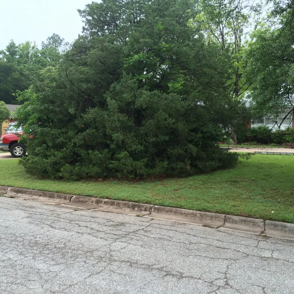 Local landscape installation in Wichita Falls, TX - David Helms Services