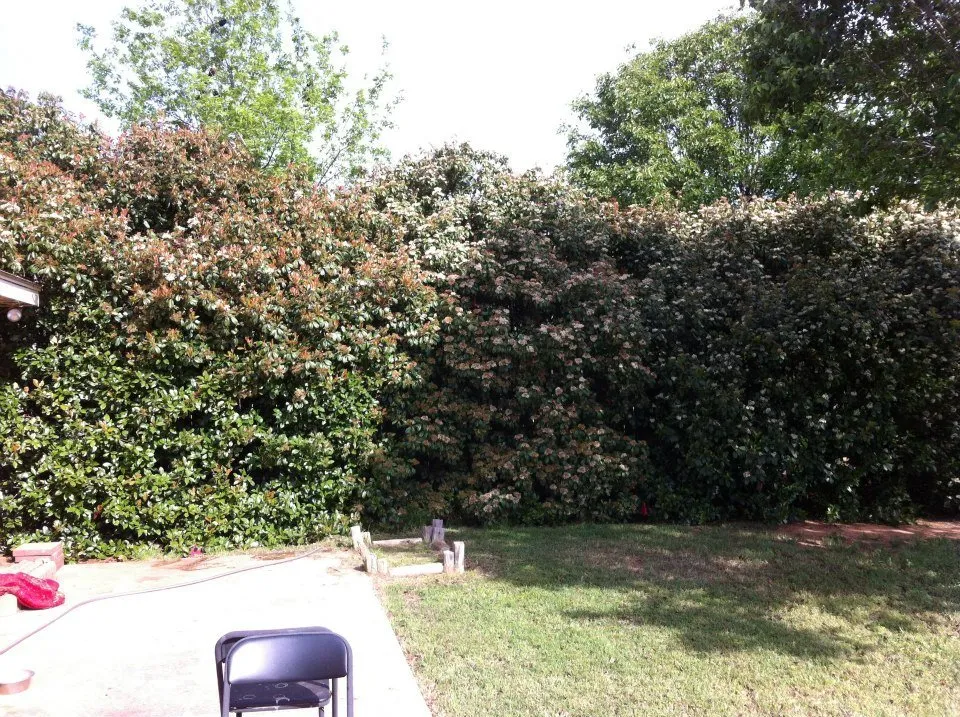 Top-rated landscape design for outdoor upgrades in Wichita Falls, TX by David Helms Services