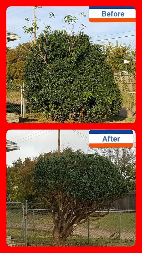 Top-rated landscape installation in Wichita Falls, TX by David Helms Services