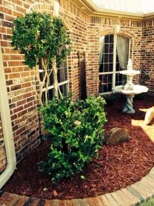 Reliable outdoor landscaping in Wichita Falls, TX by David Helms Services