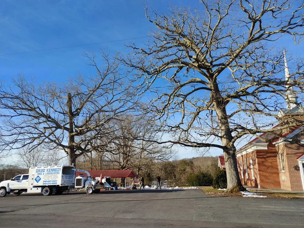 Trusted lawn mowing service for residential properties across Culpeper, VA - David Kennedy Tree & Landscaping
