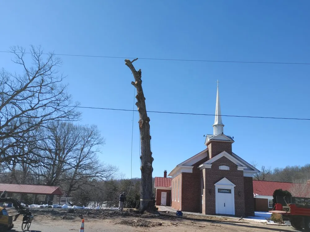 Expert landscaping services in Culpeper, VA by David Kennedy Tree & Landscaping