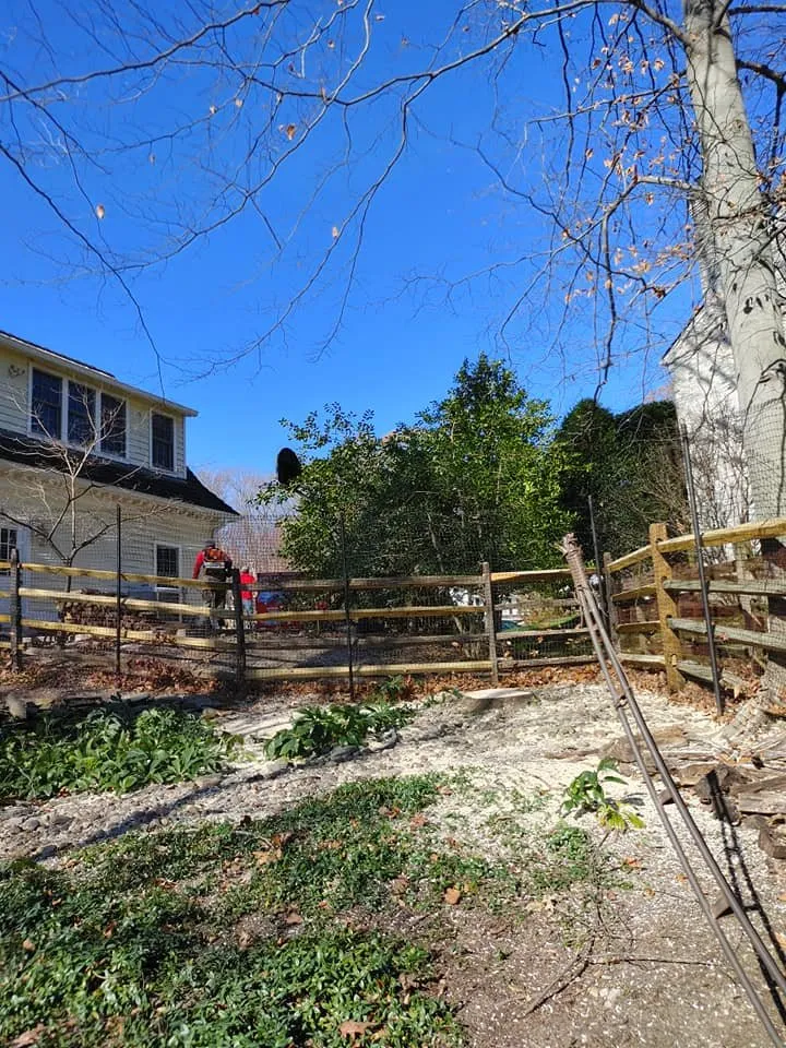 Reliable yard cleanup service for outdoor upgrades in Culpeper, VA by David Kennedy Tree & Landscaping