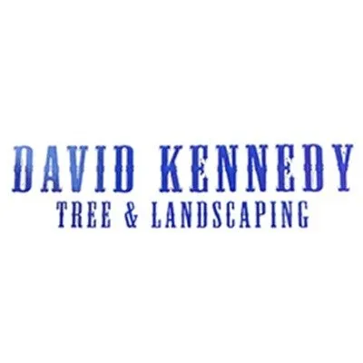 Expert landscape design for residential properties in Culpeper, VA by David Kennedy Tree & Landscaping