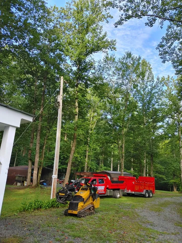 Affordable landscaping services for residential properties in Culpeper, VA by David Kennedy Tree & Landscaping