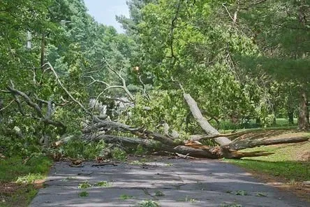 Trusted garden landscaping in Culpeper, VA - David Kennedy Tree & Landscaping