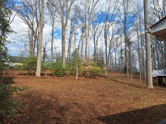 David Kennedy Tree & Landscaping