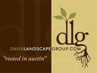 David Landscape Group Logo