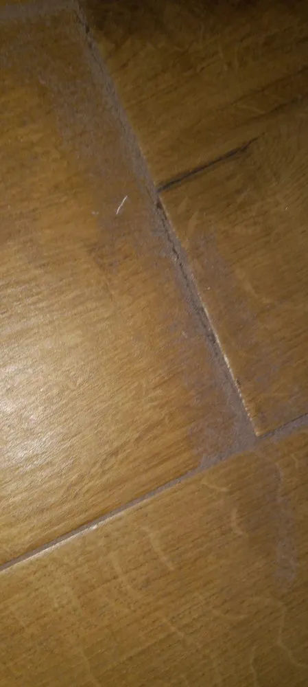 Top-rated yard maintenance in Metairie, LA - David Landscape Services