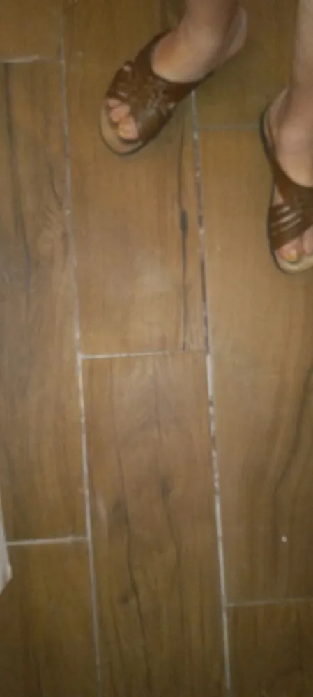 Custom landscaping services in Metairie, LA - David Landscape Services