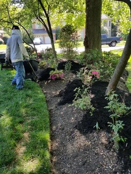 Local lawn care service near you in Springfield, VA by David Landscaping and Tree Services