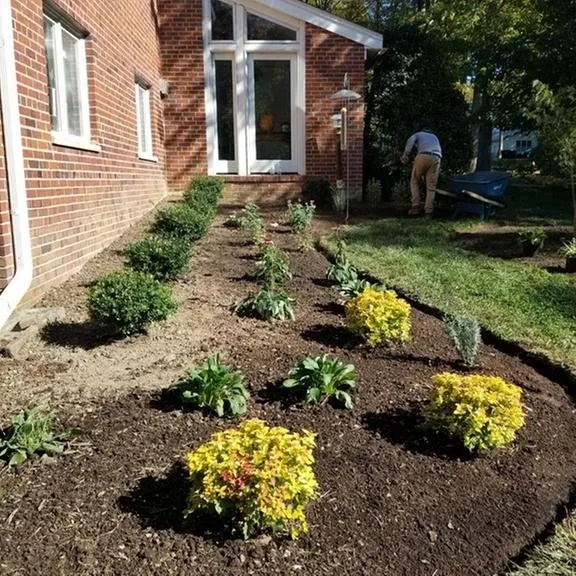 Professional lawn care service in Springfield, VA by David Landscaping and Tree Services