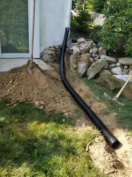 Top-rated landscape installation experts serving Springfield, VA - David Landscaping and Tree Services