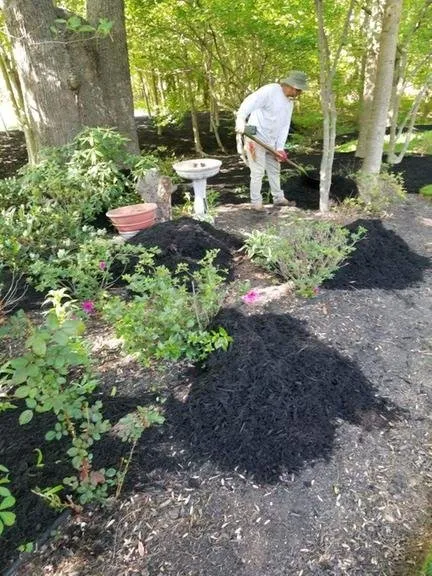 Expert garden landscaping near you across Springfield, VA - David Landscaping and Tree Services