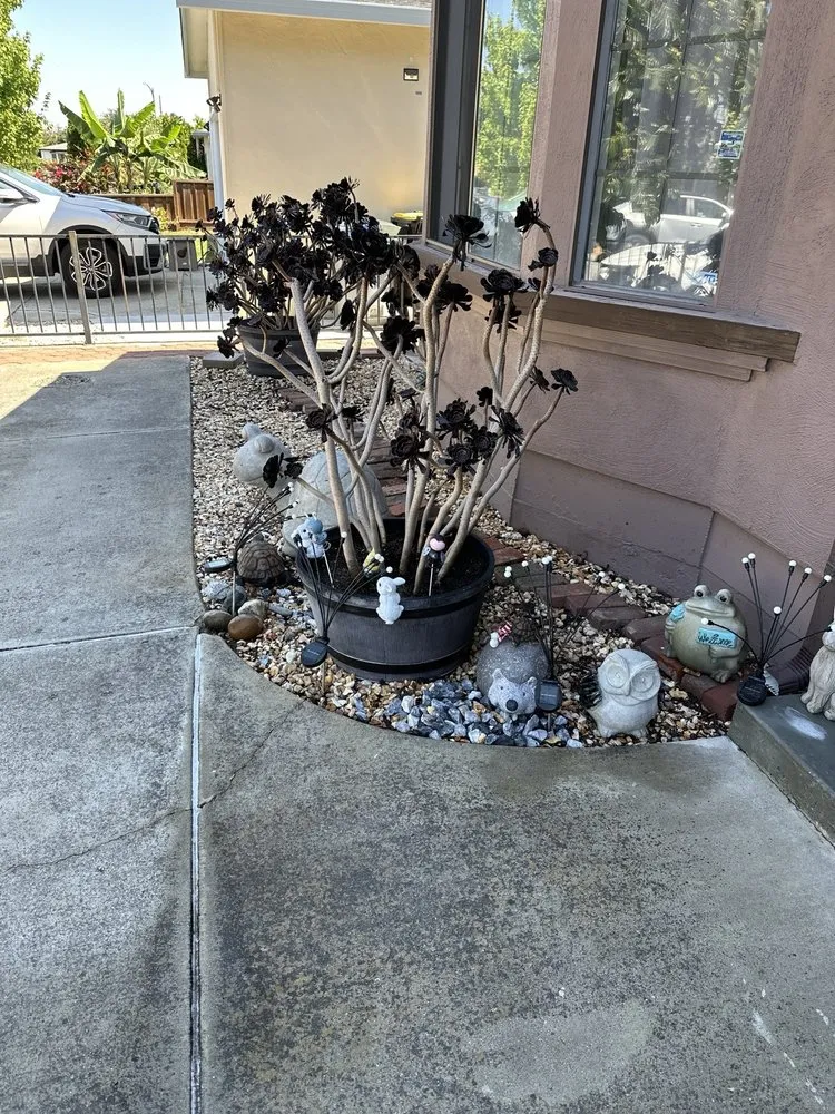 Affordable garden landscaping for beautiful yards across Hayward, CA - David Landscaping