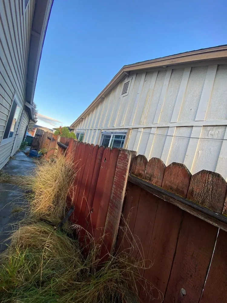 Affordable landscape installation in Hayward, CA by David Landscaping