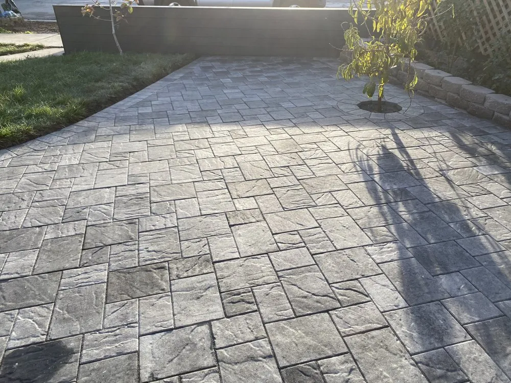 Expert yard maintenance in Hayward, CA - David Landscaping