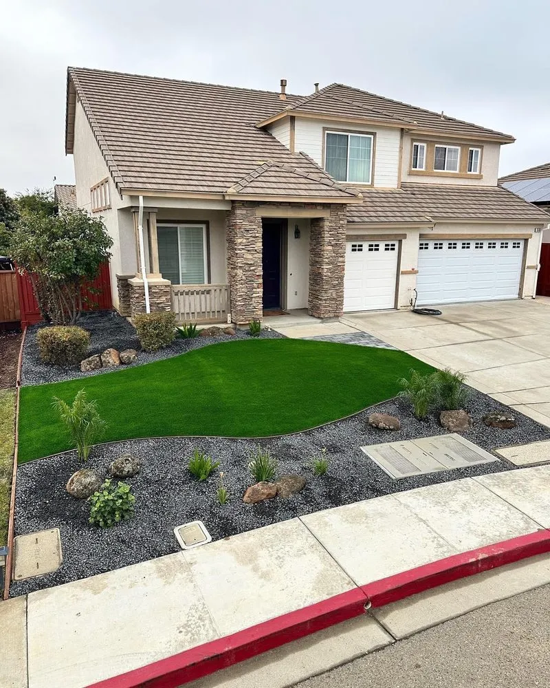 Reliable yard cleanup service in Hayward, CA by David Landscaping