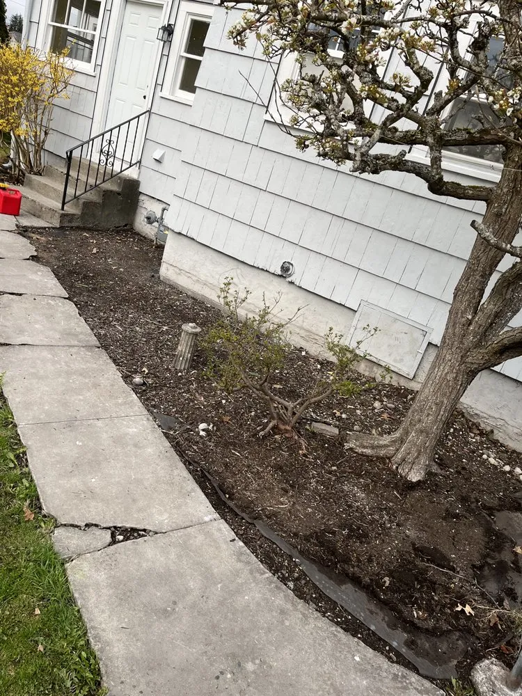 Custom landscape design experts serving Seattle, WA - David Landscaping