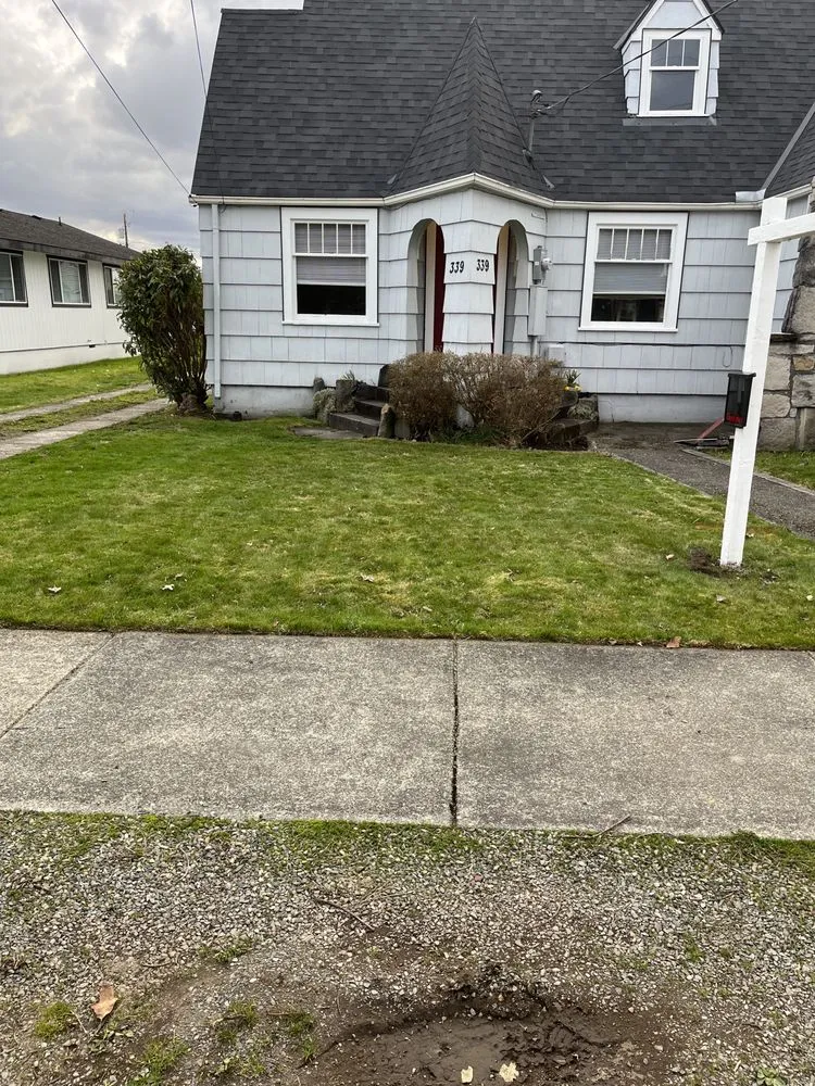 Affordable landscape installation in Seattle, WA - David Landscaping