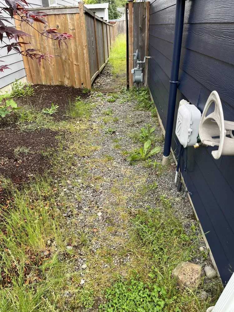 Professional residential landscaping in Seattle, WA - David Landscaping