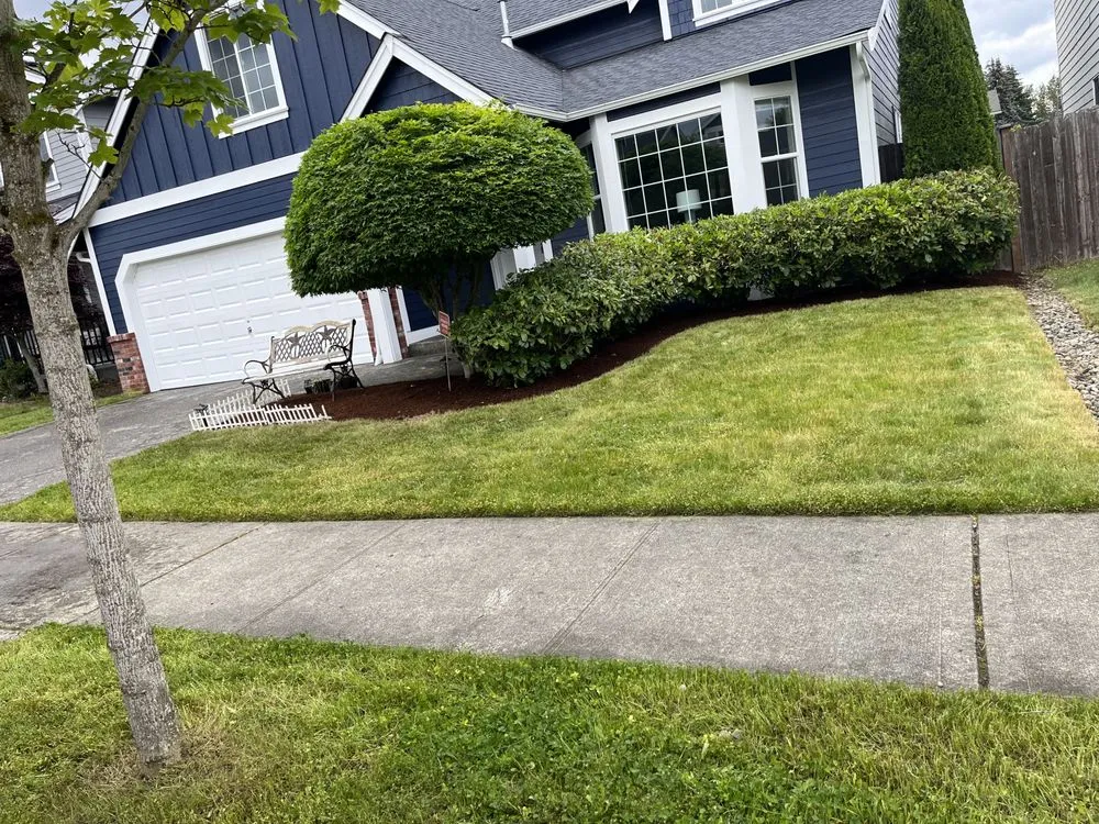 Local yard maintenance for homes in Seattle, WA by David Landscaping