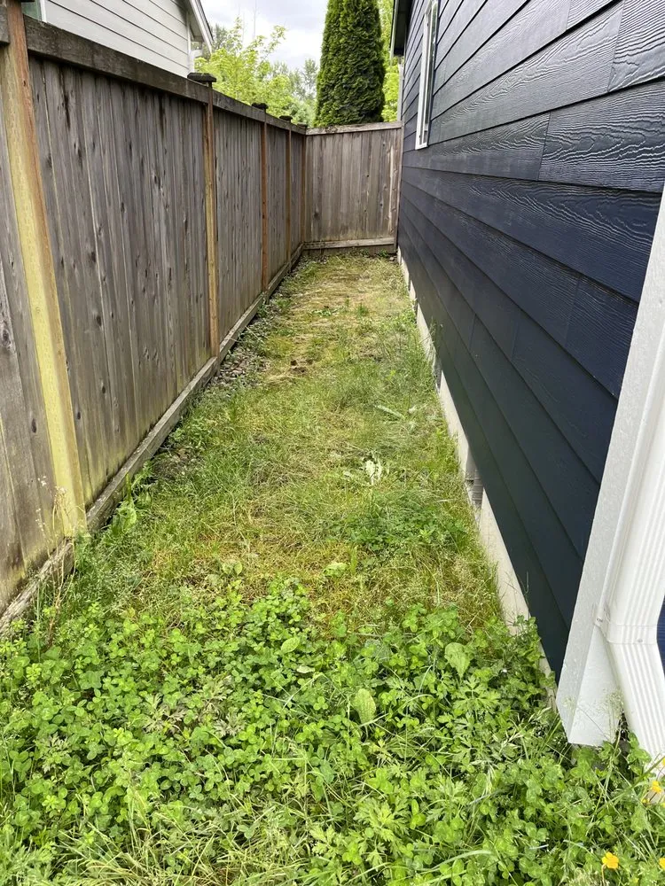 Top-rated lawn care service for beautiful yards in Seattle, WA by David Landscaping