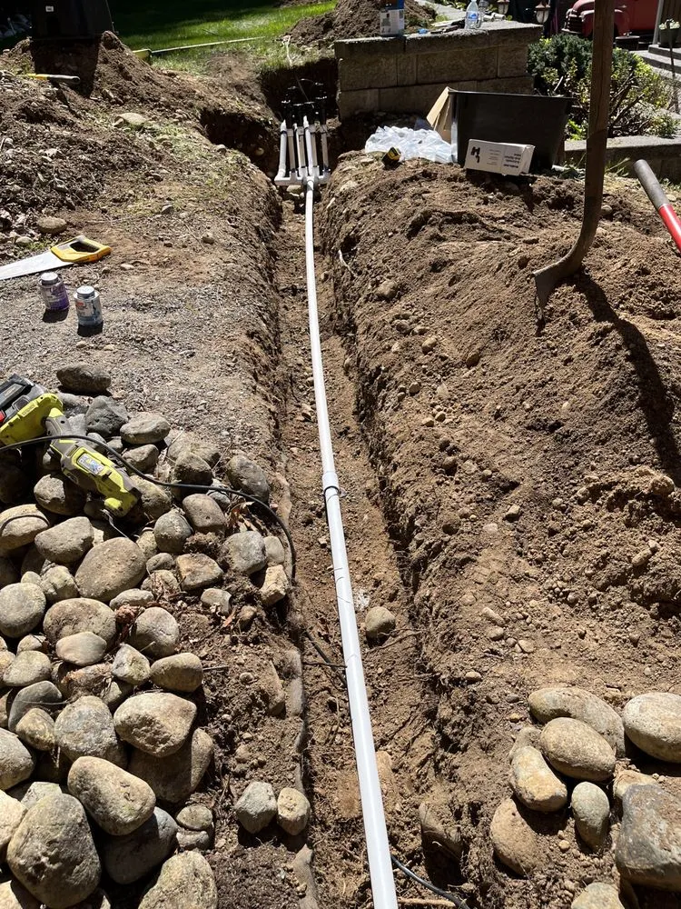 Top-rated yard maintenance in Seattle, WA - David Landscaping