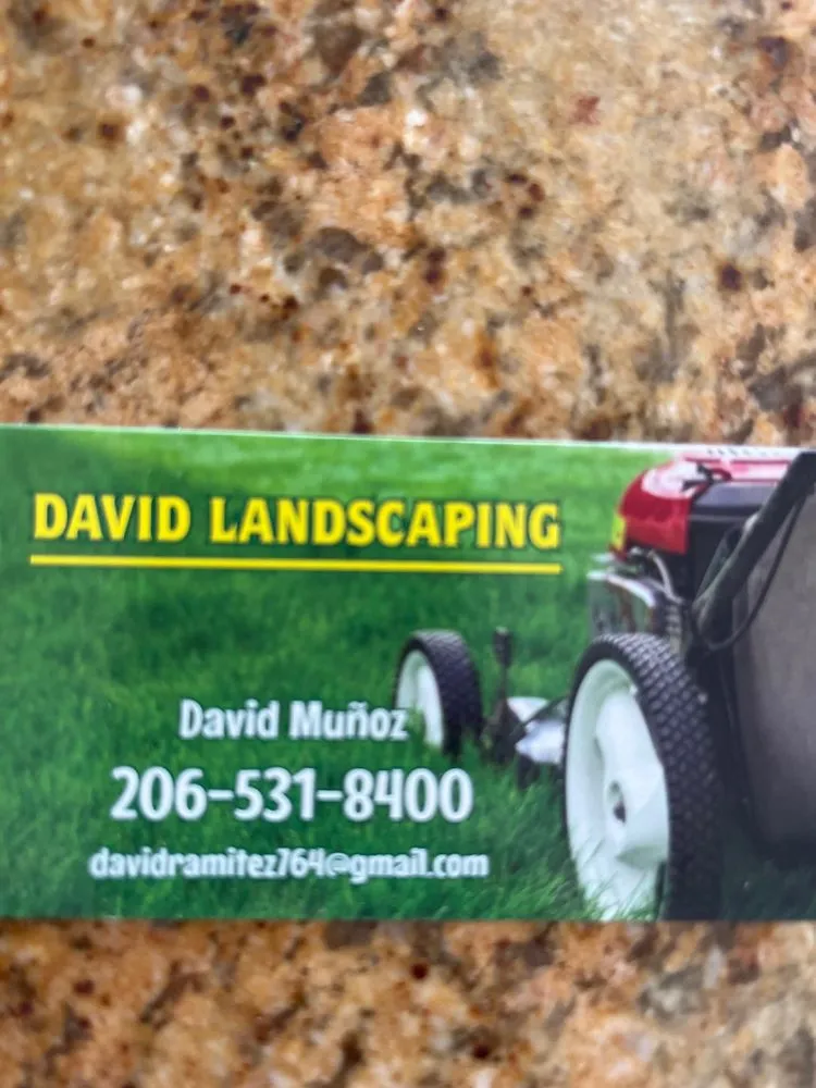 Top-rated garden landscaping in Seattle, WA - David Landscaping