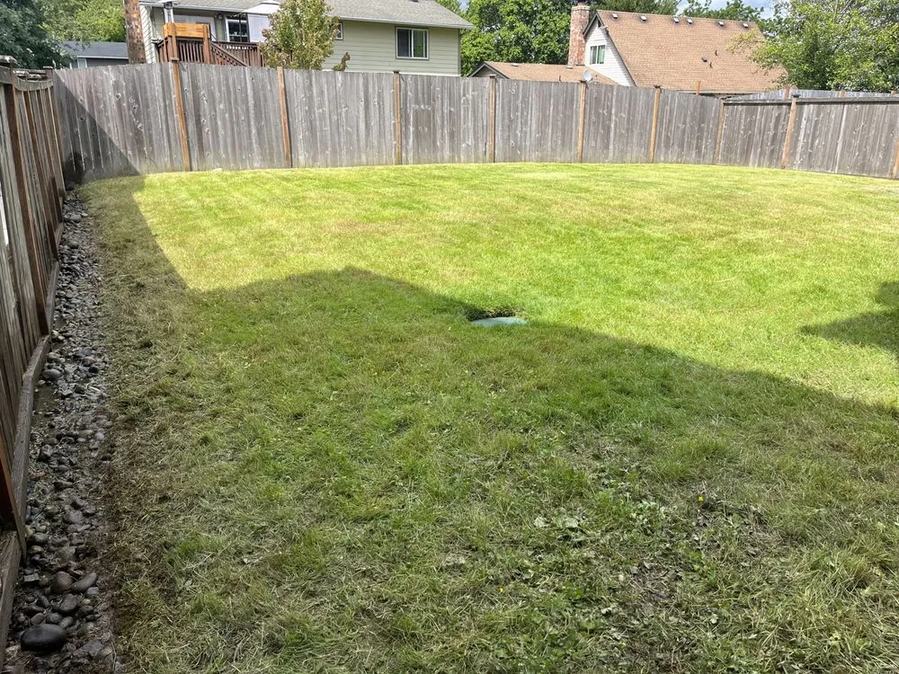 Expert landscape design for residential properties in Seattle, WA by David Landscaping