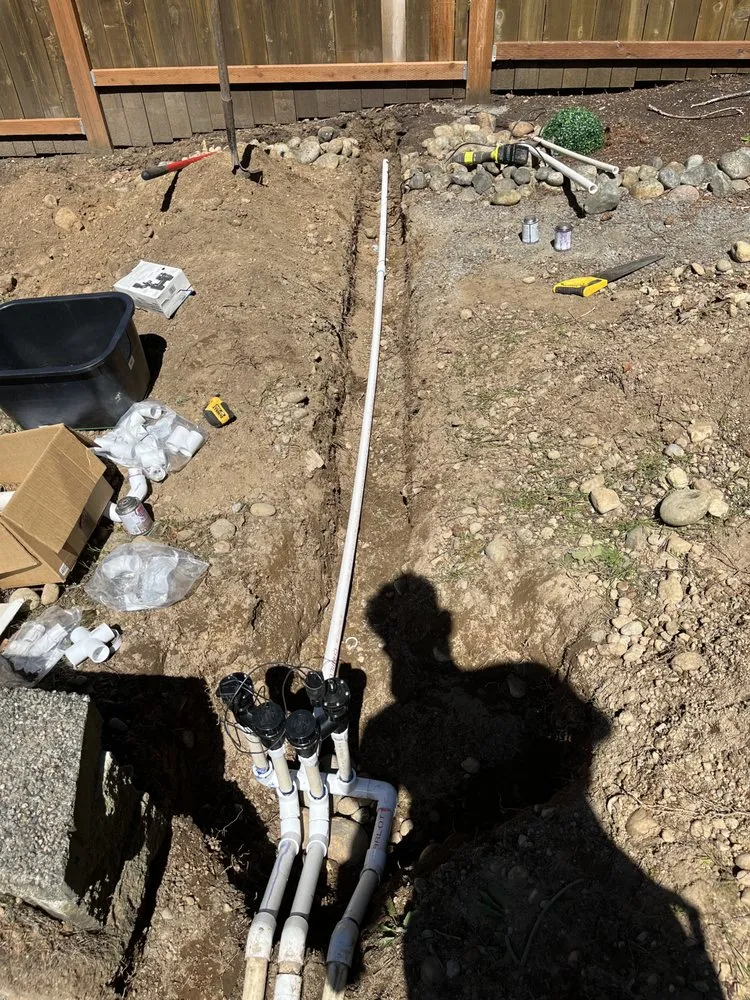 Professional landscape design in Seattle, WA by David Landscaping