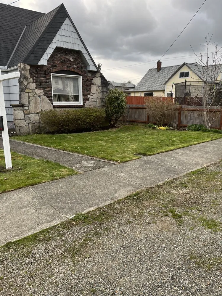 Custom lawn care service experts serving Seattle, WA - David Landscaping