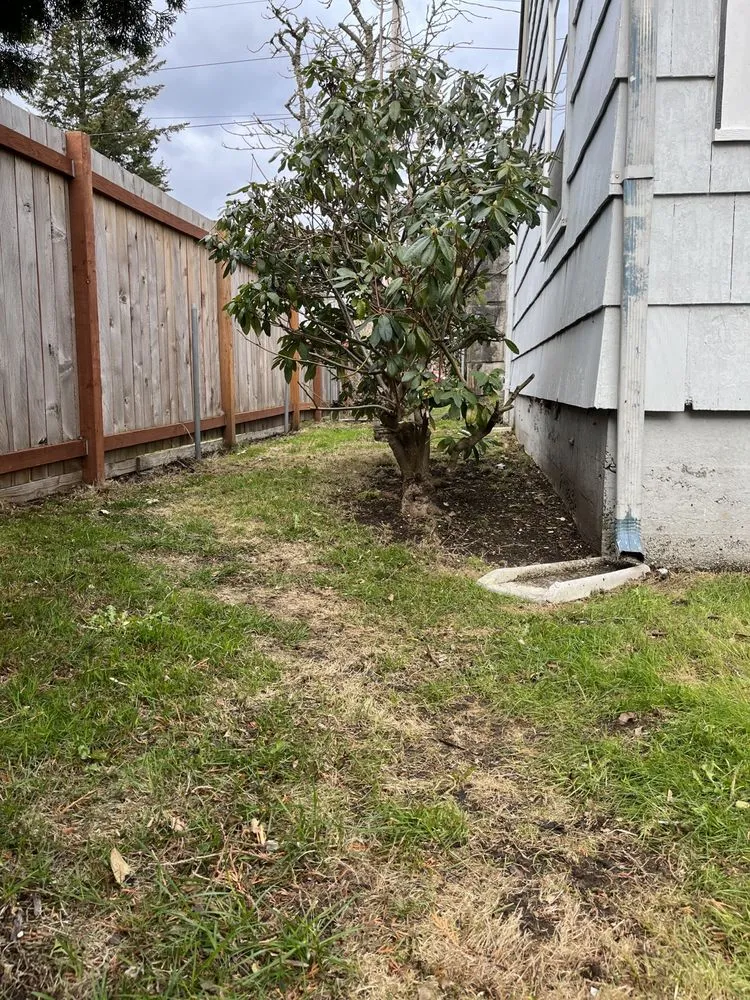 Top-rated garden landscaping in Seattle, WA - David Landscaping