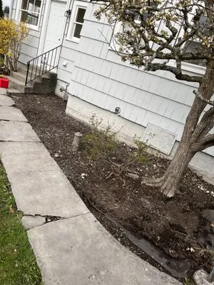 David Landscaping Logo